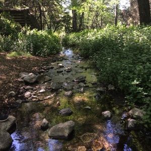 Meet your Posher, Max